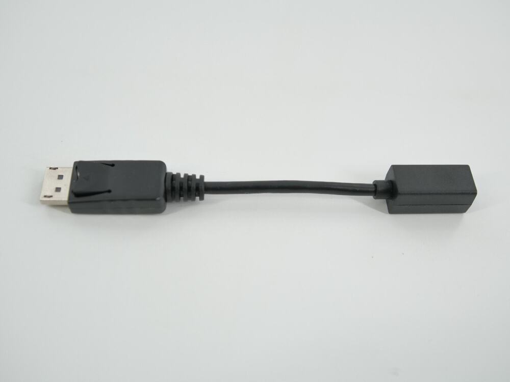 StarTech 6in DisplayPort to Mini DisplayPort Video Cable Adapter - M/F